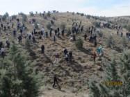 گزارش آماری و تصویری از برگزاری اردوی درختکاری توسط گروه سوم