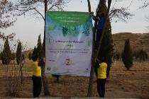 اردوی درختکاری کنگره60 نمایندگی پروین اعتصامی اراک
