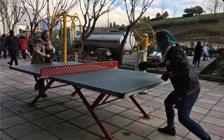 گزارش تصویری از فعالیت‌های ورزشی همسفران در پارک طالقانی