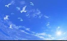 تمرینات تیم کشتی کنگره60