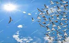  همانطوریکه که می‌دانیم معنی لغوی ایجنت، نماینده می‌شود