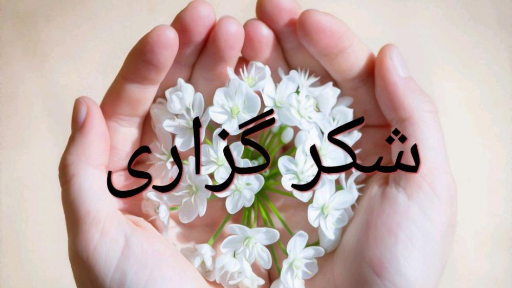 نحوه صحیح شکرگزاری
