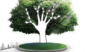 درختان حس زنده‌بودن و مفید بودن را تداعی می‌کنند