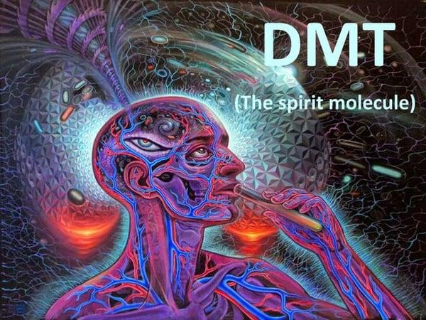 دی متیل تریپتامین (DMT)