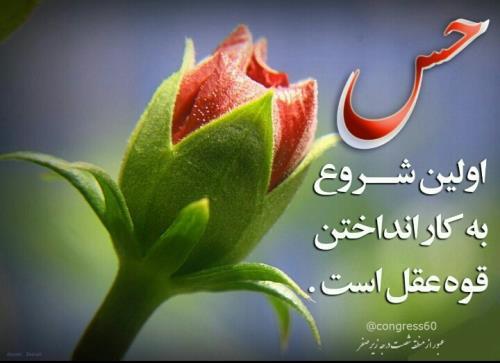 برای حفظ بقا همه موجودات به حس نیاز دارند