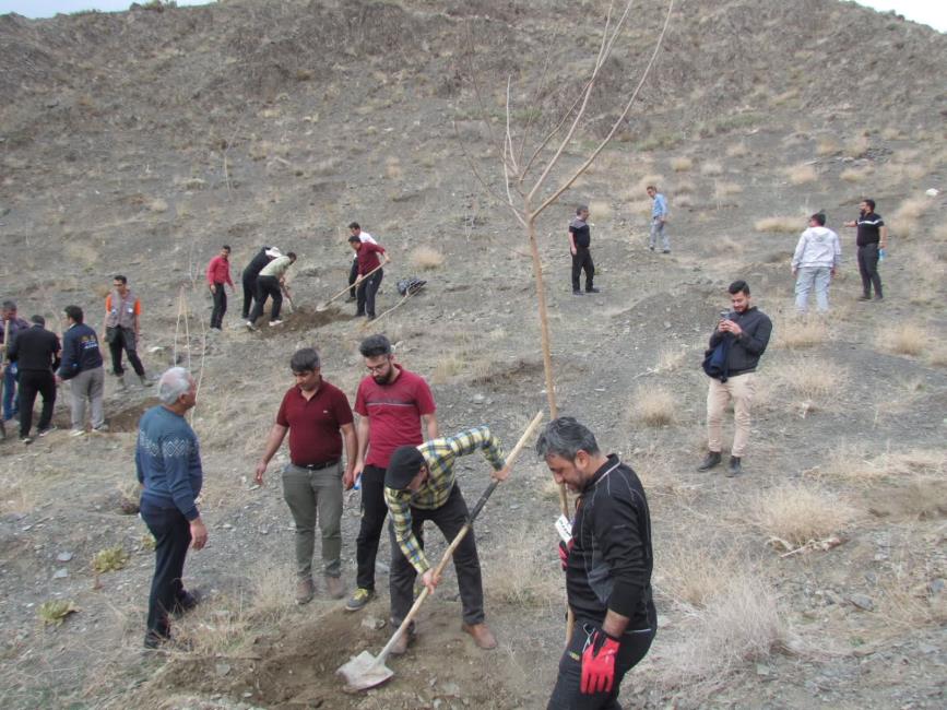 Visual Report of the Arbor Day in Mashhad Branch of Congress 60 in 2023