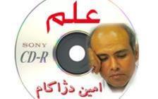 ز گهواره تا گور دانش بجوی
