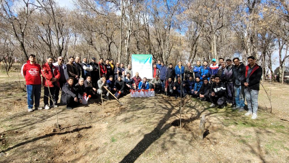 گزارش تصویری از اردوی درخت کاری نمایندگی زنجان
