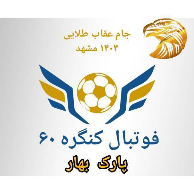 نتایج و جدول رده بندی دور دهم و برنامه دور یازدهم مسابقات فوتبال جام عقاب طلایی ۱۴۰۳ پارک بهار مشهد 