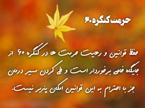 این روابط باعث می‌شود اشخاص از سفرشان جا بمانند (نمایندگی لاله کرج)