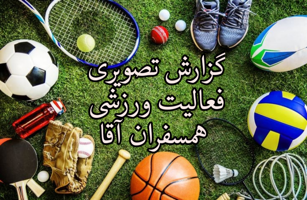 فعالیت های همسفران آقا، نمایندگی شیخ‌بهائی