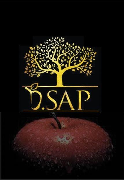  How D-Sap was Discovered, an Interview with Mr. Hossein Dezhakam