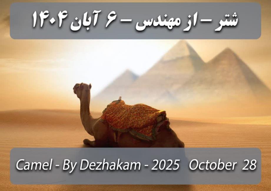 خلاصه سی دی  شتر