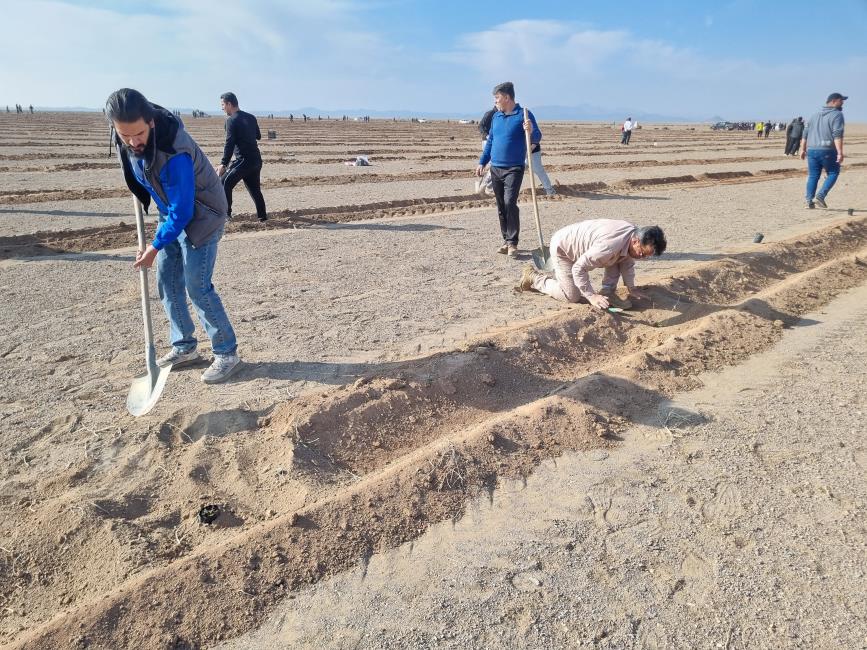 اردوی نهالکاری کنگره ۶۰، ۱۴ آذرماه