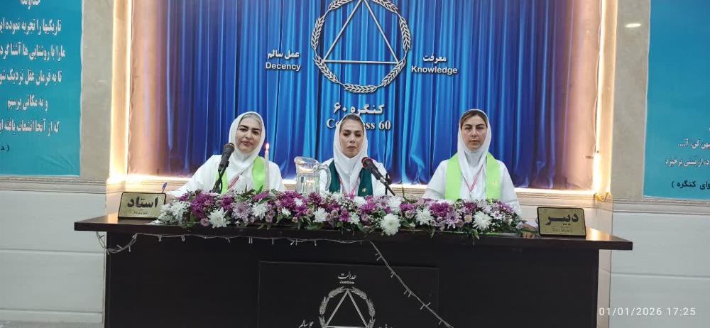 نقشِ همسفر، نقش مکمل و پشتیبان