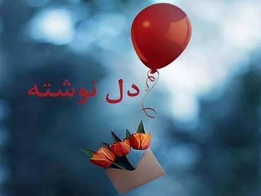 دلنوشته یک مسافر _ نمایندگی ارغوان تهران 