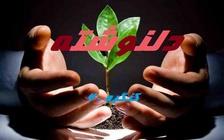 کنگره60 امیدی در نهایت ناامیدی